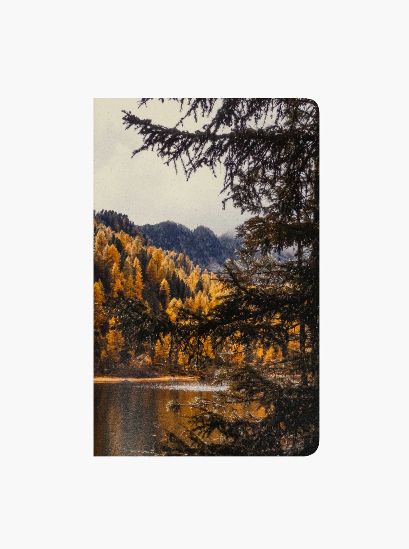 Adventure Notes - Northwoods - Image 3