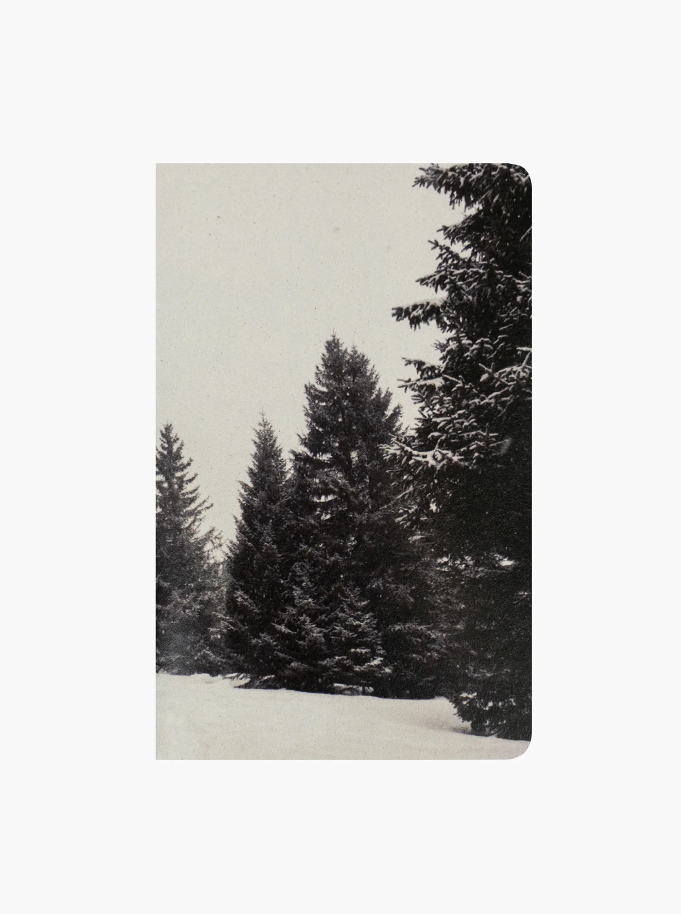 Adventure Notes - Northwoods - Image 4