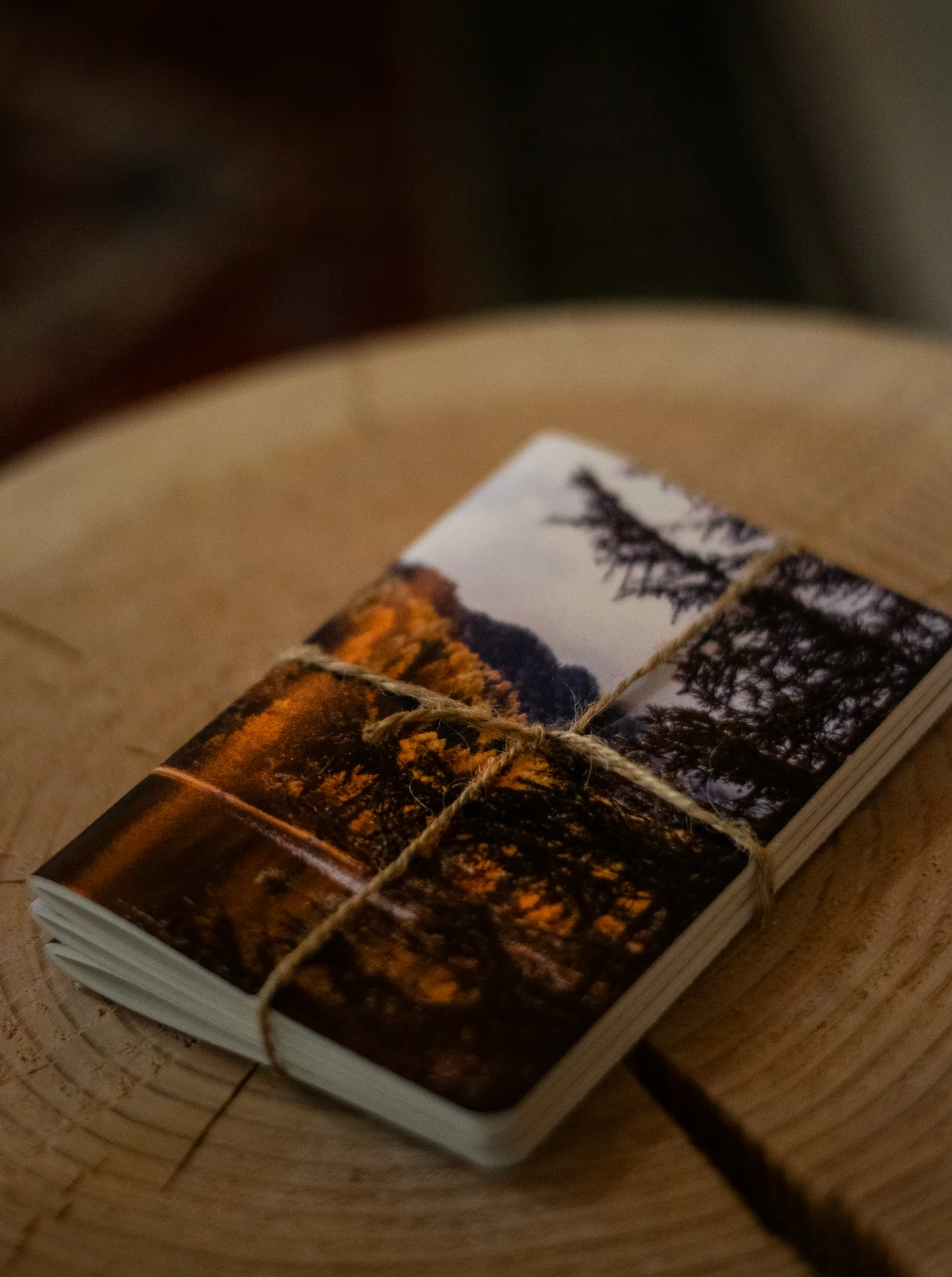 Adventure Notes - Northwoods - Image 7