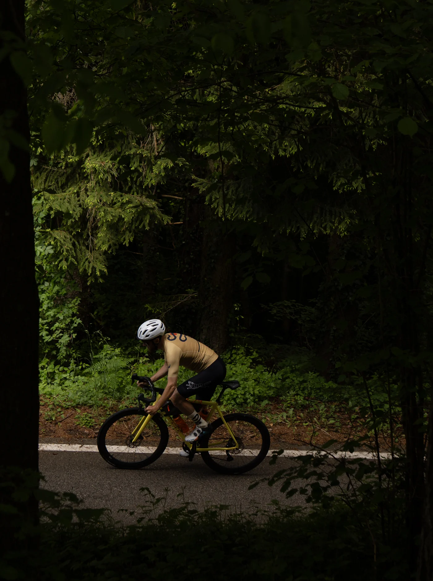 Cycling Jersey - Snakebite - Honey Gold - Image 10