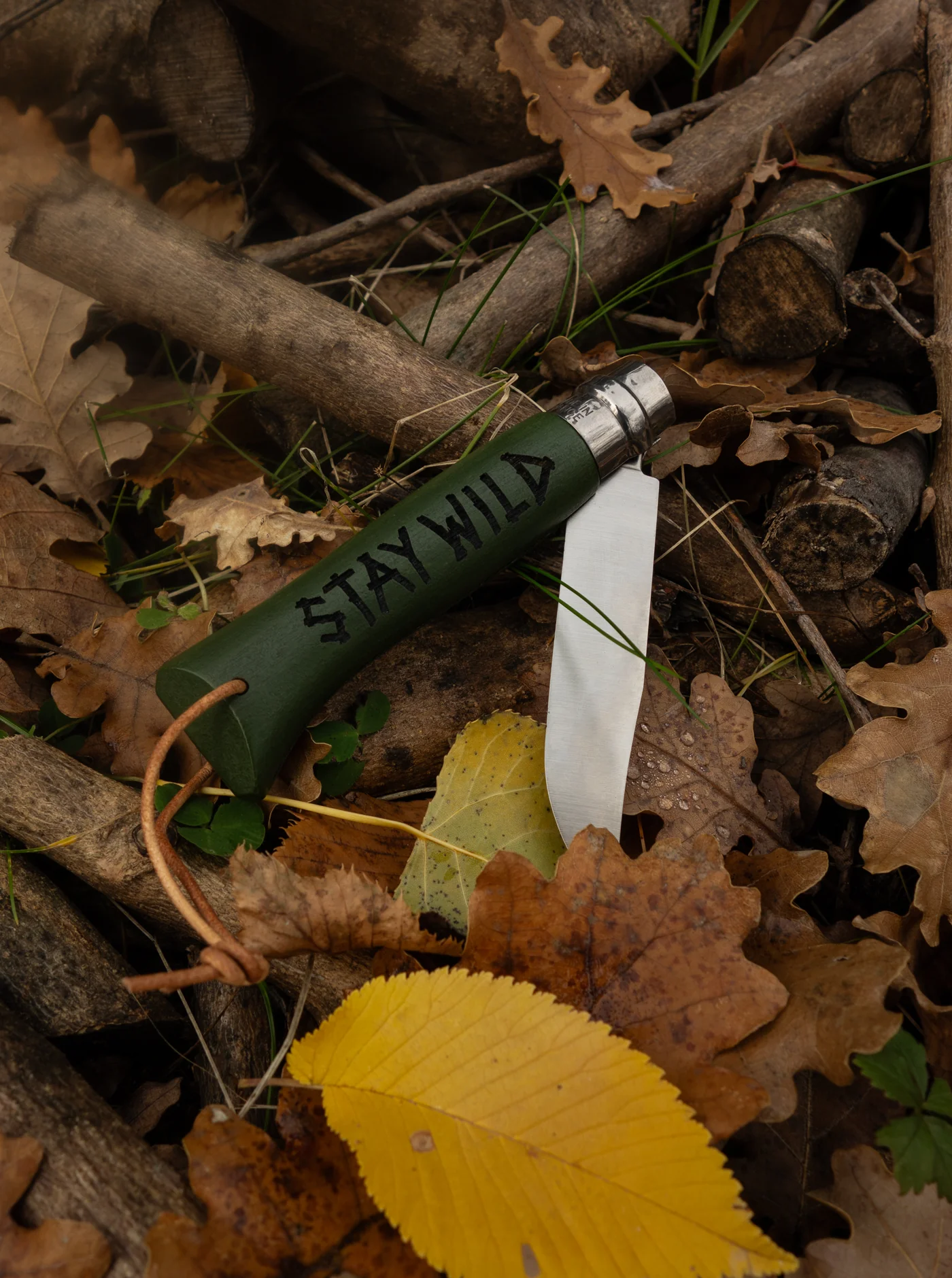 Stay Wild - Opinel N°08 - Olive - Image 2